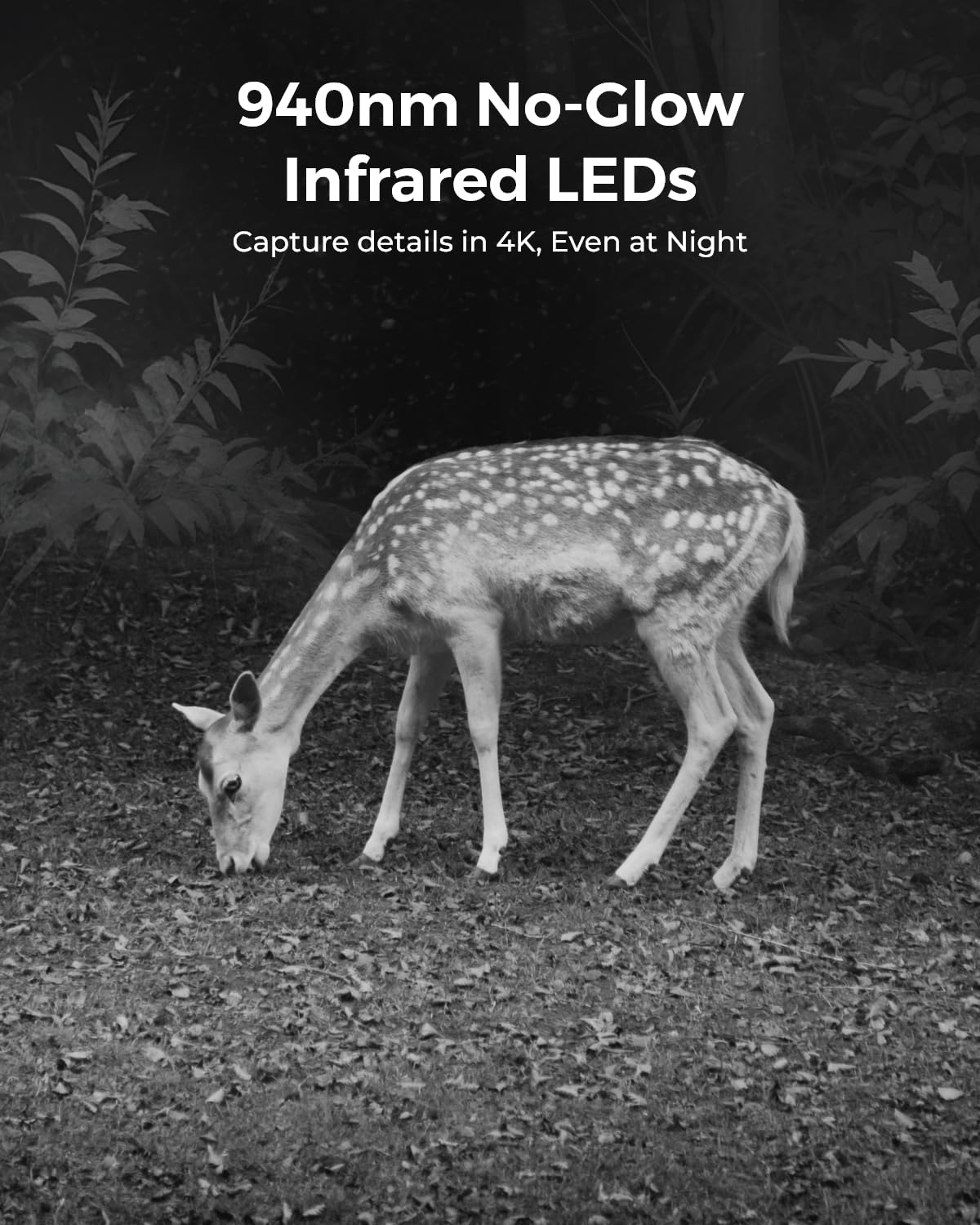 Reolink 4K 4G LTE Cellular Security Camera Outdoor Wireless with SIM Card, Battery Powered, No WiFi Camera, 6X Zoom, Auto Tracking, No-Glow IR, IP65 for Wildlife, TrackMix LTE-C+ Solar Panel